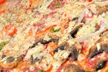 Obraz na płótnie Canvas Fresh baked homemade pizza with mushrooms, onions, Gouda cheese, basil, oregano and tomato sauce. Macro.