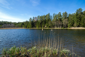 The lake is surrounded by a beautiful forest.