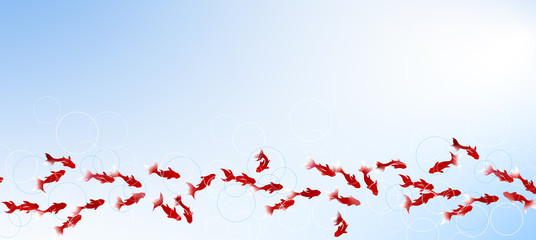 夏に合う金魚をデザインした背景素材