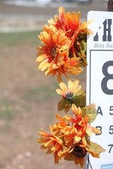 flowers on a sign