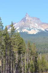 Mt Rainier