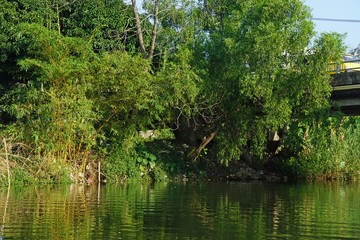 Fototapeta premium river bank from perfume river in hue