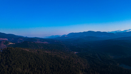 Naklejka premium Carpathian mountains landscape pine forest needles aerial photography.