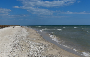 Black sea beach and dunes. Hot summer day. Wild places of our planet. Ukraine.
