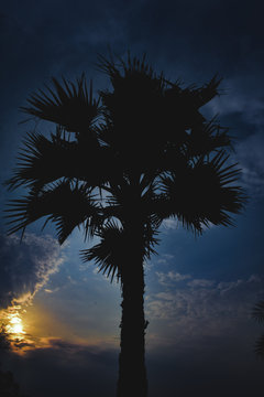 Beautiful scene of sunset