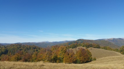 Fototapeta premium autumn mountains landscape on sunny day with colorfully forest meadow and trees