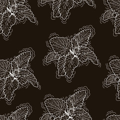 Seamless pattern with vector drawings of handmade lemon balm twigs on a colors background. Melissa is flat, cartoony. Registration of cards, menus, banners, printing on fabric, covers