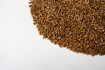wheat grains on a white background, natural dry grain in the form of a semicircle on the upper right side, wheat is isolated, macro photography