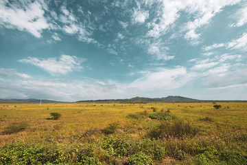 Fototapeta premium SIERRA LANDSCAPE WITH CLOUDS AND VEGETATION