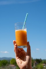 Succo di frutta - Estratto