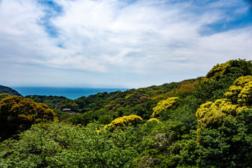 湘南国際村から臨む葉山の海と青空