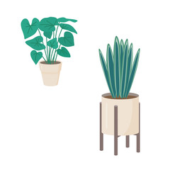 Indoor plant in a light beige pot. Flat simple illustration.