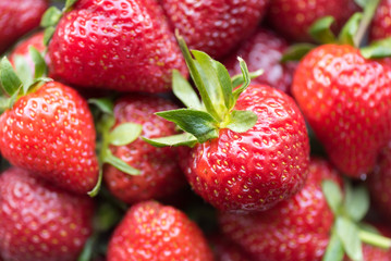 scattering of strawberries with stalks