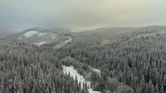Flight over the spectacular ski slopes in the Carpathians mountains, Panoramic view over the ski slope whit forest covered in snow, ski resort in Transylvania, Poiana Brasov, Romania,Europe
