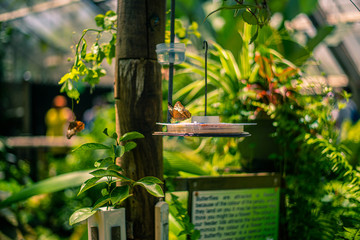 naturaleza