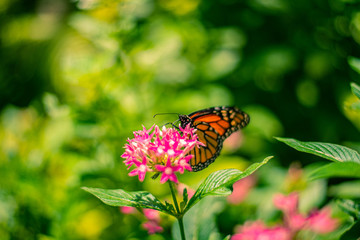 naturaleza