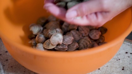 Woman preparing fresh clams in a orange tray