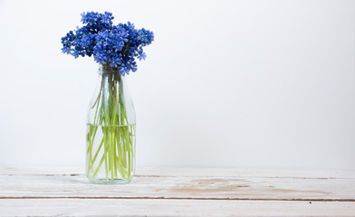 Bouquet of muscari flowers in a glass bottle on a light wooden table. Rustic style.