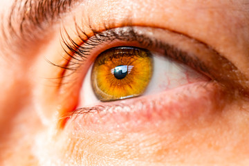 Female eye close-up. Macro. Beautiful green eyes.