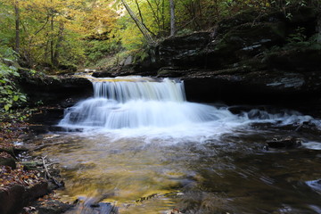 Fototapeta premium waterfall in the forest