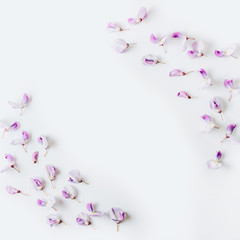 Obraz na płótnie Canvas Wisteria flowers white background. Decorative backdrop