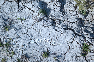 The word CRISIS in paper letters on the background of dry earth with cracks. Crisis concept.