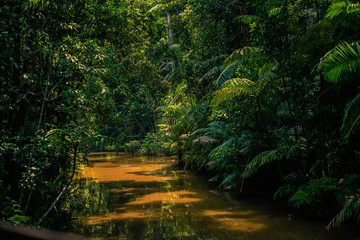 naturaleza