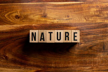 " nature " text made of wooden cube on  wooden background.