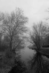 Fototapeta na wymiar Black and white shot of two trees refrected on a calm water