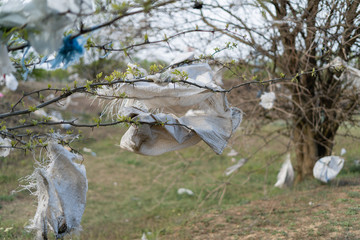 Fototapeta na wymiar plastic waste, bags and bags hang on tree branches. A lot of trash. Environmental pollution concept. Ecological problem.