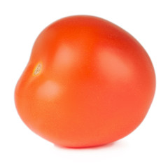 Tomato solanaceous garden plant isolated on a white background.