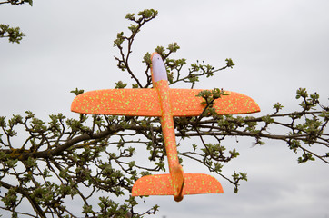 Orange plastic children's plane stuck in tree branches, It's a children's toy