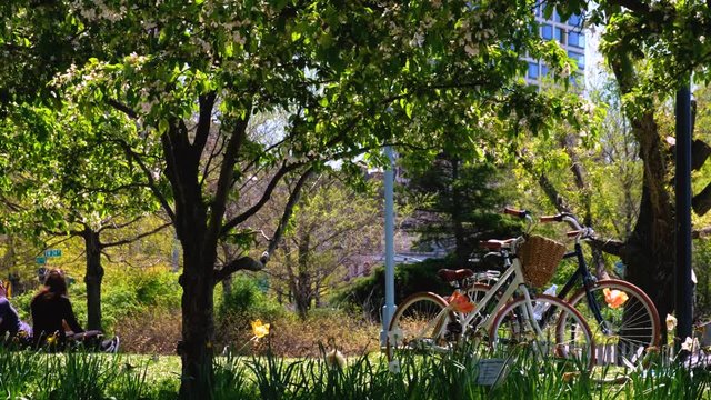 His and her matching bikes sit on a city park grass during a beautiful spring day.