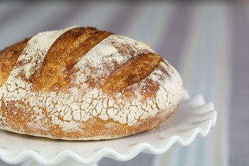 Sliced freshly baked homemade sourdough bread on a white plate