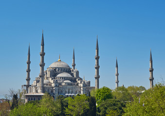 Fototapeta na wymiar Blue Mosque or Sultanahmet Camii in Istanbul, Turkey. Scenic view of the beautiful Blue Mosque in summer.