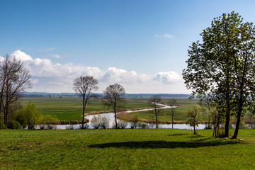 Wiosenne Podlasie. Wiosna w Dolinie Narwi. Podlaskie wierzby, Polska