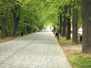 park way in may wallpaper