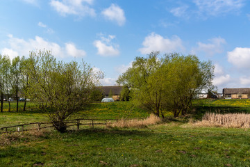 Wiosenne Podlasie. Wiosna w Dolinie Narwi. Podlaskie wierzby, Polska © podlaski49
