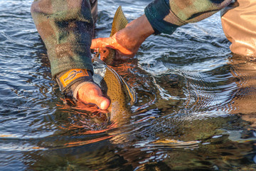 Fly Fishing moments