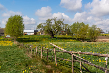 Wiosenne Podlasie. Wiosna w Dolinie Narwi. Podlaskie wierzby, Polska