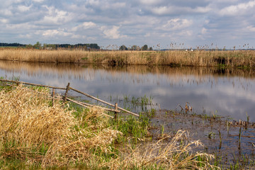Wiosenne Podlasie. Wiosna w Dolinie Narwi. Podlaskie wierzby, Polska