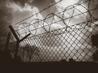 Barbed wire fence black and white picture