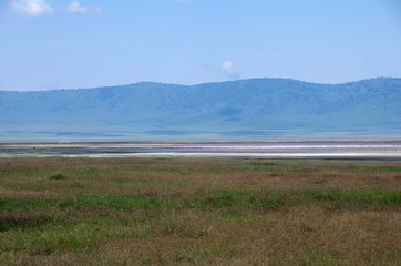 Fototapeta na wymiar Landscape in the Ngorongoro crater in Tanzania