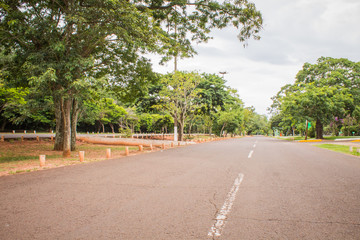 Desert municipal park - Parque do Estado - Campo Grande - Mato Grosso do Sul - Brazil