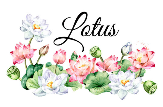 Lotus flowers with green leaves card. Hand drawn botanical watercolor illustration isolated on white background