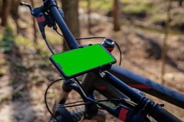 Bike ride through the spring forest.