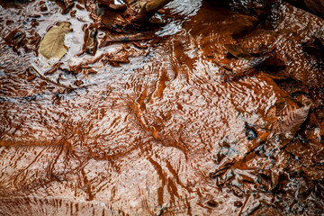 Water stream. With mud brown background.