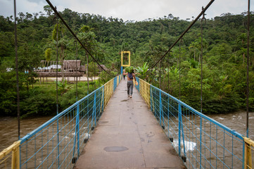 Obraz premium amazonia ecuatoriana puente movil