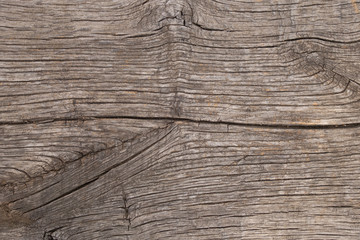 The texture of natural wood. Very old weathered pine surface. Creative vintage background.