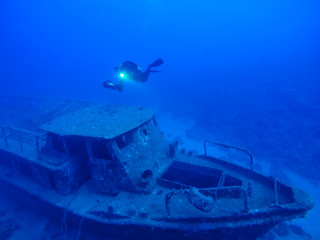 scuba diver in the sea